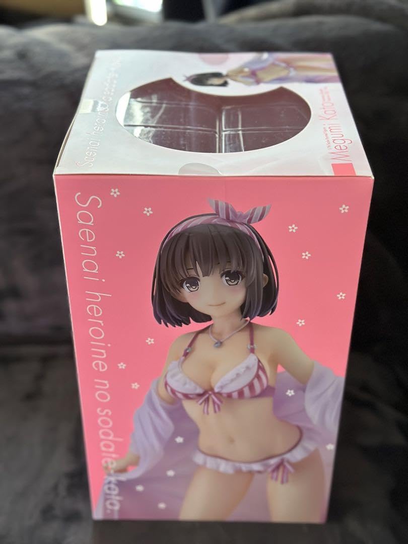 Amazon.co.jp: 冴えない彼女の育てかた 加藤恵 ファンタジア文庫